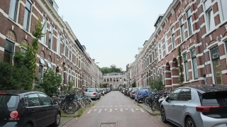 de Wiltstraat